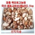 목단표고농원 이미지