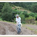 단지농장 이미지