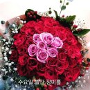 🌹2월 7일 수요일 강방출석부🌹 이미지