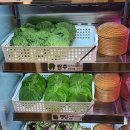 몽블리 네이버블로그