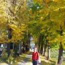 태장2동주민센터 이미지