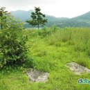 간석2동-16 이미지