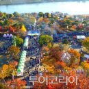 난전농장 이미지