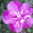 늘처음처럼 이미지