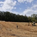 행복한 농원 이미지