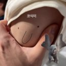 행복공유