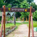 솔터힐링 숲체험원 이미지