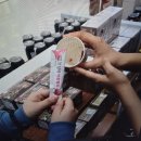 주식회사 지상단 이미지