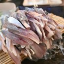 물고기횟집 이미지