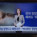 맛정당 이미지