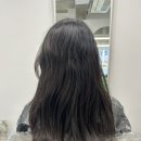 민주살롱 네이버블로그