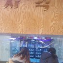 썬게임랜드 이미지