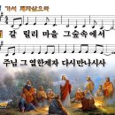 갈릴리마을그숲속(미루나무)[♣].ppt 이미지