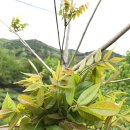 지리산자연밥상