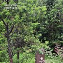 6월20일(금) 북한산둘레길 이미지