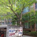 디알에프 | 대구하수구고압세척 달서구대천동 아파트오수관외 1