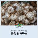 남해마늘축산