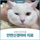 으뜸원동물병원 이미지