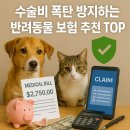 하이펫동물병원 | 수술비 폭탄 방지! 반려동물 보험 TOP 5 완벽 가이드