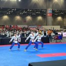 한국체대 호림태권도장 이미지