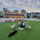 아이조아펫파크 대구점 이미지