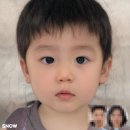 영신농장-1 | 24년 4월의 기록