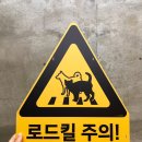 고양이발자국 이미지