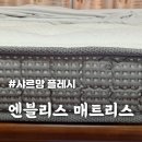 샤르망 | 허리를 편안하게 받쳐주는 [엔블리스 매트리스] 샤르망 플레시 구입 후기