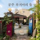 뜰의향기 | [카페] 충남 공주 카페 추천: 귀여운 고양이와 홍차의 향기로움이 가득한 한옥카페 "루치아의 뜰"