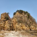 입파도·국화도