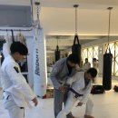 리본MMA주짓수
