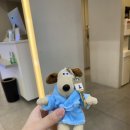미용사(중급) | 안양 긴 머리 레이어드 매직세팅 c컬펌 후기 아이원헤어 범계점