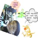 해림초등학교 이미지