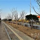 수원-1447 이미지