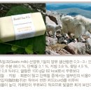 바닐라스킨 이미지