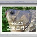 한해를 마무리 하며..!! 이미지