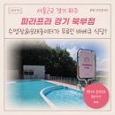 북부 수영장 | 파주 파라프라 경기북부점 수영장 바베큐 내돈내산 후기 (애견동반가능)