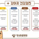 연성 동물병원 이미지