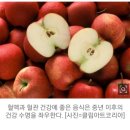 [양파.사과.고등어...혈액 혈관 건강에 좋은 음식 5] 이미지