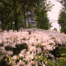 가림초등학교 이미지