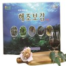 해조 이미지
