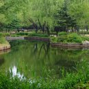 용산가족공원 이미지