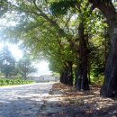 금산중학교 이미지