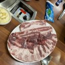 청오돼지들의세상 이미지