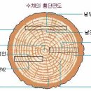도해 이미지