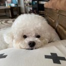 신비약국 이미지