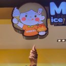 마야리본 | [2026년 5월 22일] IN Chiangmai - 치앙마이 태교여행 / 셀프 가이드북 / 왓파랏사원 도이수탭 택시투어...