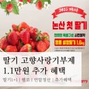 (주)웰트레이딩 | 논산 설향딸기 고향사랑기부제(feat. 1.1만원 추가혜택 받는 방법) | 1+1 이벤트, 연말정산, 웰로...