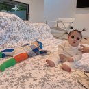 이소트레이드 이미지