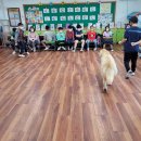 교암초등학교 이미지